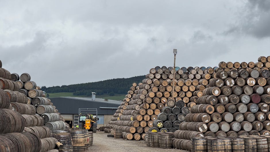 迷你倉：專業解答您的所有疑惑，打造極致空間奇蹟！