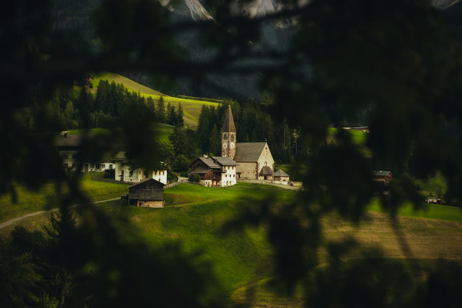 港股期權市場分析與典型案例報導